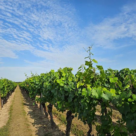 Bed and Breakfast Confidences Escale A Brissac Екстер'єр фото