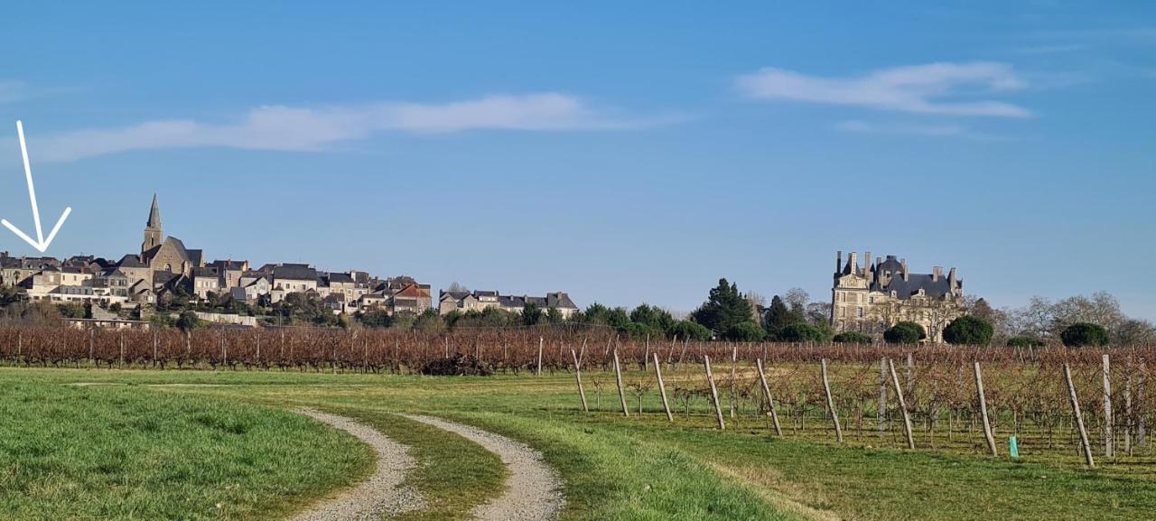 Bed and Breakfast Confidences Escale A Brissac Екстер'єр фото