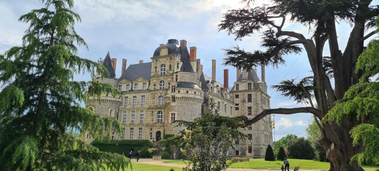 Bed and Breakfast Confidences Escale A Brissac Екстер'єр фото